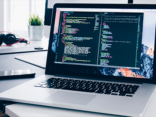 Website development